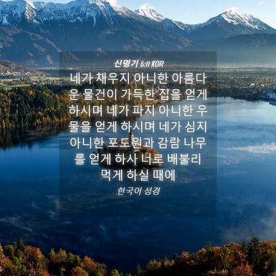 Picture 04 - 신명기 6:11 KOR - 네가 채우지 아니한 아름다운 물건이 - Bible Verse Picture