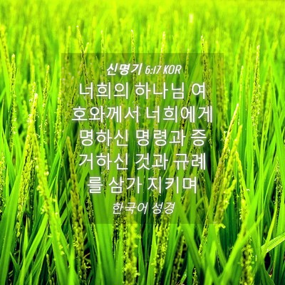 Picture 04 - 신명기 6:17 KOR - 너희의 하나님 여호와께서 너희에게 - Bible Verse Picture