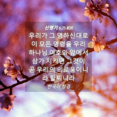 Picture 04 - 신명기 6:25 KOR - 우리가 그 명하신대로 이 모든 - Bible Verse Picture