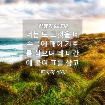 Picture 04 - 신명기 6:8 KOR - 너는 또 그것을 네 손목에 매어 - Bible Verse Picture