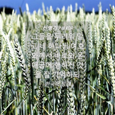 Picture 04 - 신명기 7:18 KOR - 그들을 두려워 말고 네 하나님 - Bible Verse Picture