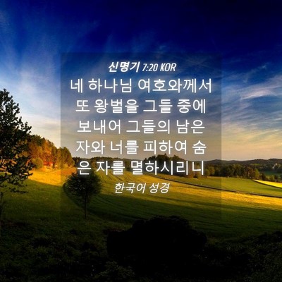 Picture 04 - 신명기 7:20 KOR - 네 하나님 여호와께서 또 왕벌을 - Bible Verse Picture