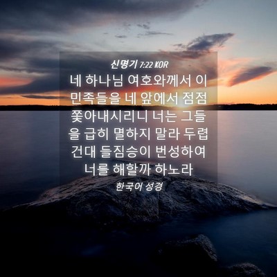 Picture 04 - 신명기 7:22 KOR - 네 하나님 여호와께서 이 민족들을 - Bible Verse Picture