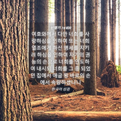 Picture 04 - 신명기 7:8 KOR - 여호와께서 다만 너희를 사랑하심을 - Bible Verse Picture