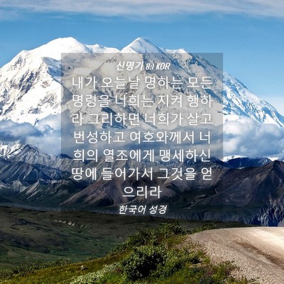 Picture 04 - 신명기 8:1 KOR - 내가 오늘날 명하는 모든 명령을 - Bible Verse Picture