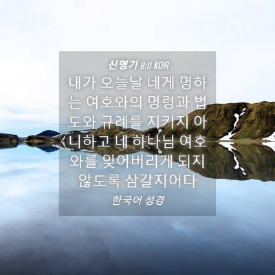 Picture 04 - 신명기 8:11 KOR - 내가 오늘날 네게 명하는 여호와의 - Bible Verse Picture