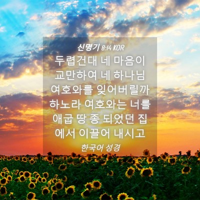 Picture 04 - 신명기 8:14 KOR - 두렵건대 네 마음이 교만하여 네 - Bible Verse Picture