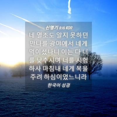 Picture 04 - 신명기 8:16 KOR - 네 열조도 알지 못하던 만나를 - Bible Verse Picture