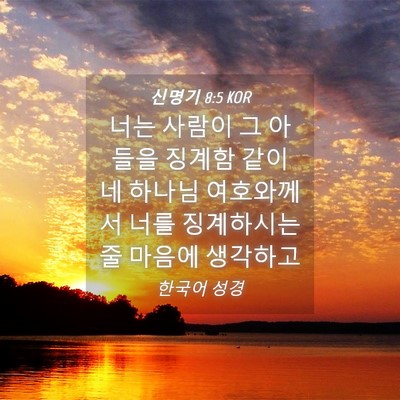 Picture 04 - 신명기 8:5 KOR - 너는 사람이 그 아들을 징계함 같이 - Bible Verse Picture