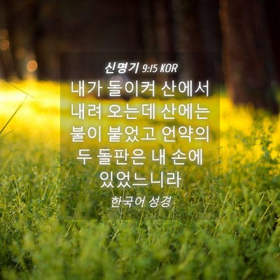 Picture 04 - 신명기 9:15 KOR - 내가 돌이켜 산에서 내려 오는데 - Bible Verse Picture