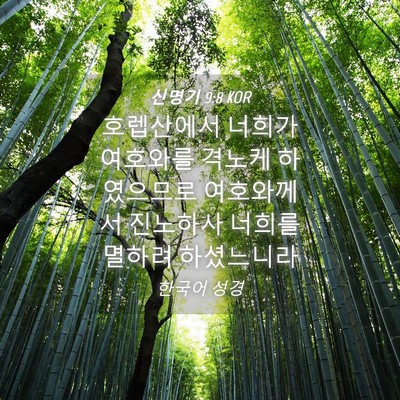 Picture 04 - 신명기 9:8 KOR - 호렙산에서 너희가 여호와를 격노케 - Bible Verse Picture