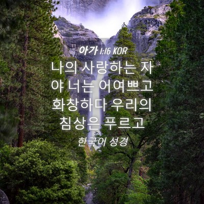 Picture 04 - 아가 1:16 KOR - 나의 사랑하는 자야 너는 어여쁘고 - Bible Verse Picture