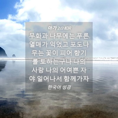 Picture 04 - 아가 2:13 KOR - 무화과 나무에는 푸른 열매가 익었고 - Bible Verse Picture