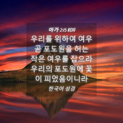 Picture 04 - 아가 2:15 KOR - 우리를 위하여 여우 곧 포도원을 - Bible Verse Picture