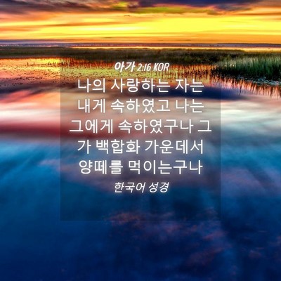 Picture 04 - 아가 2:16 KOR - 나의 사랑하는 자는 내게 속하였고 - Bible Verse Picture