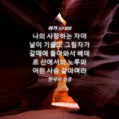 Picture 04 - 아가 2:17 KOR - 나의 사랑하는 자야 날이 기울고 - Bible Verse Picture