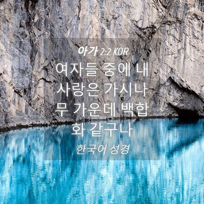 Picture 04 - 아가 2:2 KOR - 여자들 중에 내 사랑은 가시나무 - Bible Verse Picture