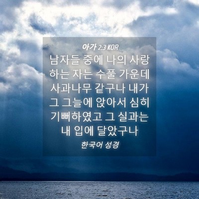 Picture 04 - 아가 2:3 KOR - 남자들 중에 나의 사랑하는 자는 - Bible Verse Picture