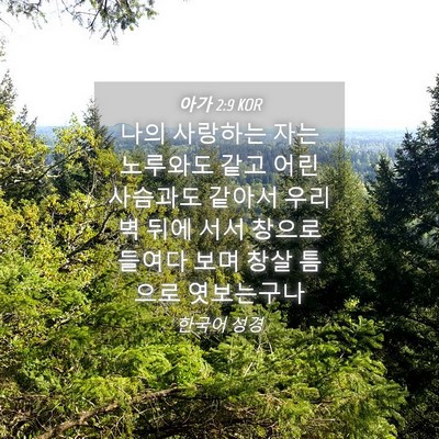 Picture 04 - 아가 2:9 KOR - 나의 사랑하는 자는 노루와도 같고 - Bible Verse Picture