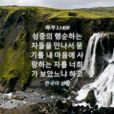 Picture 04 - 아가 3:3 KOR - 성중의 행순하는 자들을 만나서 - Bible Verse Picture