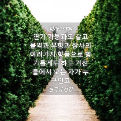 Picture 04 - 아가 3:6 KOR - 연기 기둥과도 같고 몰약과 유향과 - Bible Verse Picture