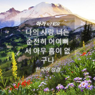 Picture 04 - 아가 4:7 KOR - 나의 사랑 너는 순전히 어여뻐서 - Bible Verse Picture