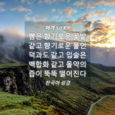 Picture 04 - 아가 5:13 KOR - 뺨은 향기로운 꽃밭 같고 향기로운 - Bible Verse Picture