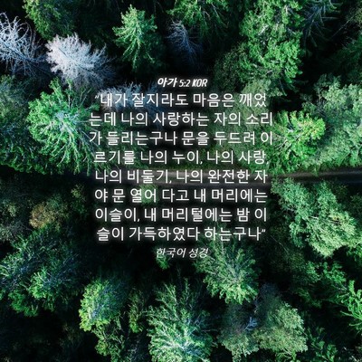 Picture 04 - 아가 5:2 KOR - 