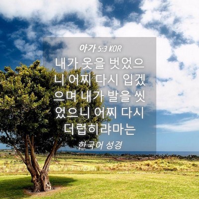 Picture 04 - 아가 5:3 KOR - 내가 옷을 벗었으니 어찌 다시 - Bible Verse Picture