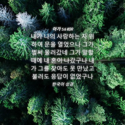 Picture 04 - 아가 5:6 KOR - 내가 나의 사랑하는 자 위하여 문을 - Bible Verse Picture