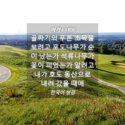 Picture 04 - 아가 6:11 KOR - 골짜기의 푸른 초목을 보려고 - Bible Verse Picture