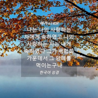 Picture 04 - 아가 6:3 KOR - 나는 나의 사랑하는 자에게 속하였고 - Bible Verse Picture
