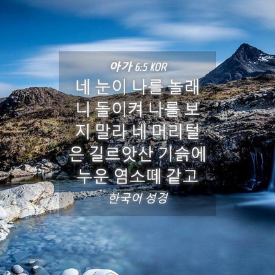 Picture 04 - 아가 6:5 KOR - 네 눈이 나를 놀래니 돌이켜 나를 - Bible Verse Picture