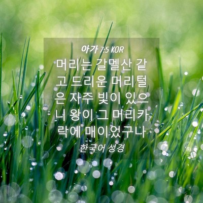Picture 04 - 아가 7:5 KOR - 머리는 갈멜산 같고 드리운 머리털은 - Bible Verse Picture