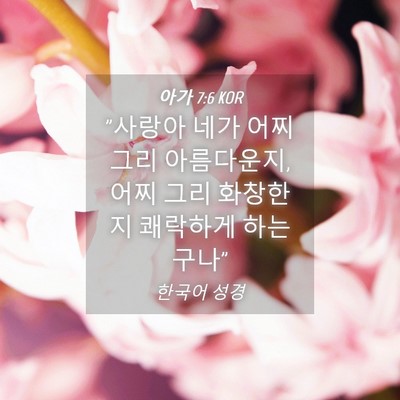 Picture 04 - 아가 7:6 KOR - 