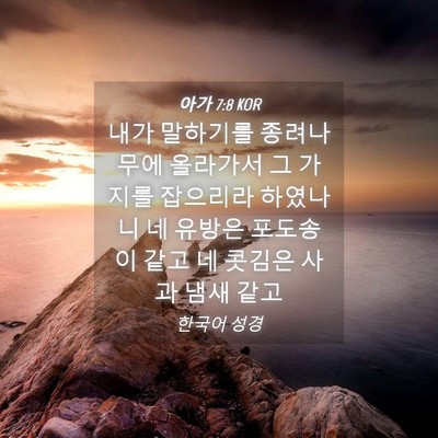 Picture 04 - 아가 7:8 KOR - 내가 말하기를 종려나무에 올라가서 - Bible Verse Picture