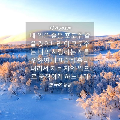 Picture 04 - 아가 7:9 KOR - 네 입은 좋은 포도주 같을 것이니라 - Bible Verse Picture