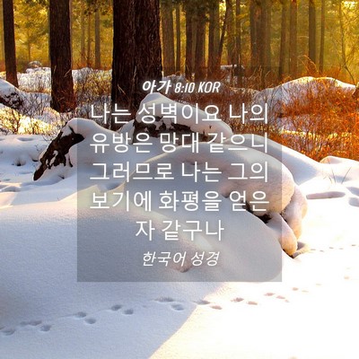 Picture 04 - 아가 8:10 KOR - 나는 성벽이요 나의 유방은 망대 - Bible Verse Picture