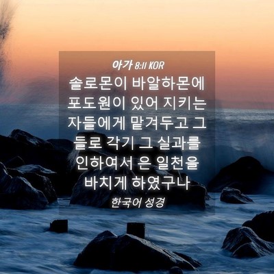 Picture 04 - 아가 8:11 KOR - 솔로몬이 바알하몬에 포도원이 있어 - Bible Verse Picture