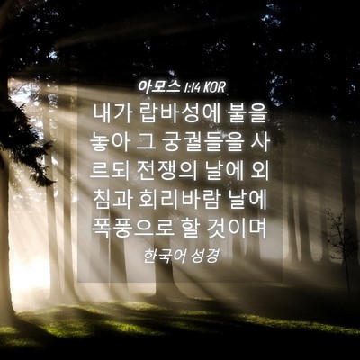 Picture 04 - 아모스 1:14 KOR - 내가 랍바성에 불을 놓아 그 - Bible Verse Picture