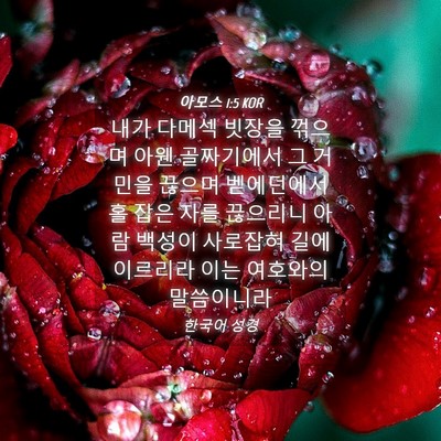 Picture 04 - 아모스 1:5 KOR - 내가 다메섹 빗장을 꺾으며 아웬 - Bible Verse Picture
