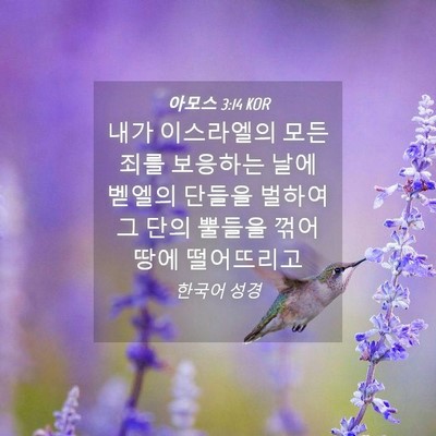 Picture 04 - 아모스 3:14 KOR - 내가 이스라엘의 모든 죄를 보응하는 - Bible Verse Picture