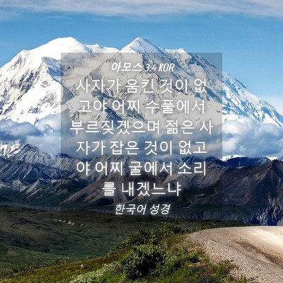 Picture 04 - 아모스 3:4 KOR - 사자가 움킨 것이 없고야 어찌 - Bible Verse Picture