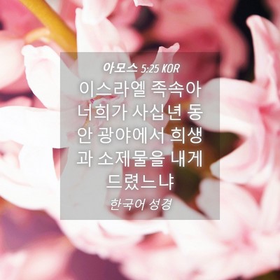 Picture 04 - 아모스 5:25 KOR - 이스라엘 족속아 너희가 사십년 동안 - Bible Verse Picture