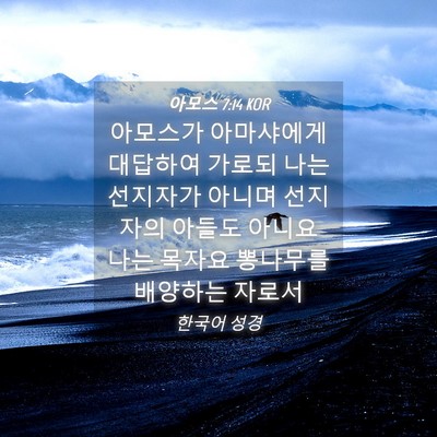 Picture 04 - 아모스 7:14 KOR - 아모스가 아마샤에게 대답하여 - Bible Verse Picture