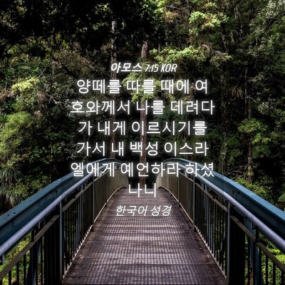Picture 04 - 아모스 7:15 KOR - 양떼를 따를 때에 여호와께서 나를 - Bible Verse Picture