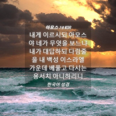 Picture 04 - 아모스 7:8 KOR - 내게 이르시되 아모스야 네가 무엇을 - Bible Verse Picture