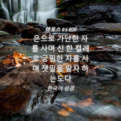Picture 04 - 아모스 8:6 KOR - 은으로 가난한 자를 사며 신 한 - Bible Verse Picture