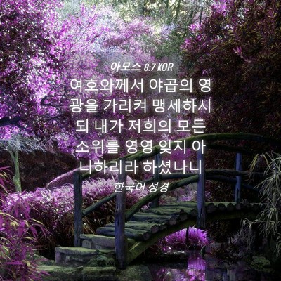 Picture 04 - 아모스 8:7 KOR - 여호와께서 야곱의 영광을 가리켜 - Bible Verse Picture