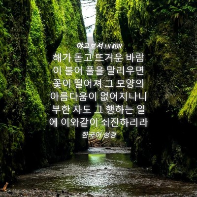 Picture 04 - 야고보서 1:11 KOR - 해가 돋고 뜨거운 바람이 불어 풀을 - Bible Verse Picture
